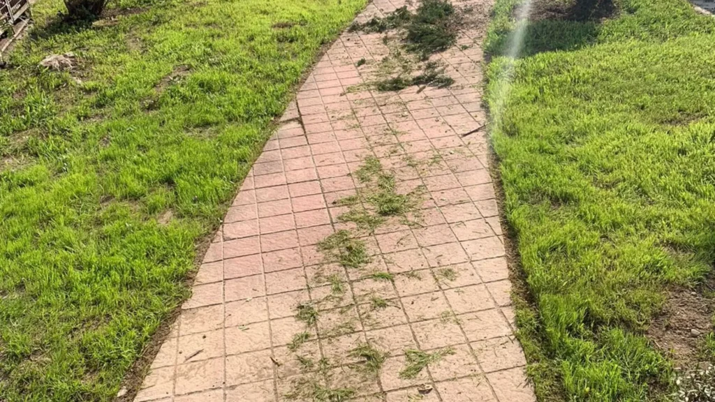 Mantención de áreas verdes